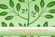 General FAQ’s Concerning Tree Services