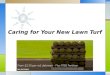 Caring for your new lawn turf
