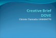 Creative brief christie tiarmalia 1006694776