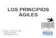 Los principios ágiles (Madrid)