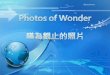 Photos of  Wonder
