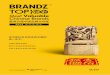 BrandZ Top 100 Most Valuable Chinese Brands (Chinese Version)
