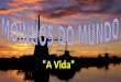 MOINHOS DO MUNDO - A VIDA......... EXCELENTE