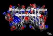 producao proteinas recombinantes