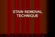 Stain Removal Ppt