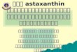 Astaxanthin from yeast affect on increasing the red color rate of male Guppy