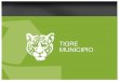 Tigre Recicla 2012. Programa de Reciclaje de PET en Las Escuelas