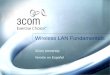 Wireless LAN Fundamentals - SPA