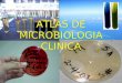 Atlas Microbiologia Clinica