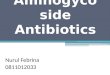 Aminogycoside Antibiotics