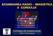 Curs 7A CORD Patologie-5