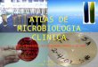Atlas Microbiologia Clinica Pate i 1202586123457813 3