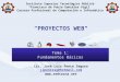 Proyectos Web   1 Fundamentos