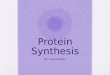 Protein synthesis flipbook laura keller