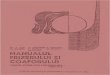 118841612 Manualul Frizerului Si Coaforului 1971