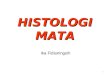 Kuliah Histologi Mata