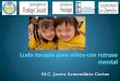 Ludo terapia para niños con retraso mental, Javier Armendariz Cortez