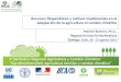Recursos fitogenéticos y cultivos tradicionales en la adaptación de la agricultura al cambio climático