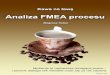 FMEA pdf darmowy ebook