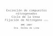 BMC-Ciclo Del Nitrógeno y Ciclo de La Urea