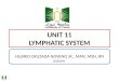 Unit 11 Lymphatic System