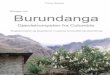 Burundanga - Djævletrompeten fra Colombia