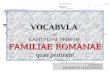 Familiae Romanae Vocabula (I)