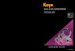 Catalogo de Rodamientos-koyo