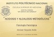 Acidosis y Alcalosis Metabolica.  Immer Noyola Avila