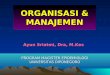Organisasi & Manajemen