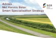 2013 02 08 presentatie advies Smart Specialisation Strategy