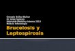 Brucelosis y Leptospirosis