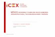 INFORME ICEX. MÉXICO: REFORMAS Y PLANES DEL NUEVO GOBIERNO. INFRAESTRUCTURAS, TELECOMUNICACIONES Y ENERGÍA