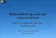 Webmarketing Plan per microimprese - Analisi del Mercato: La Domanda