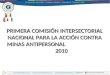 Presentacion Primera sesión ordinaria 2010 de la Comisión Intersectorial Nacional para la Acción contra Minas Antipersonal