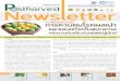 Postharvest Newsletter ปีที่ 13 ฉบับที่ 1 มกราคม-มีนาคม 2557
