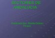 Sectores de andalucia (noelia)