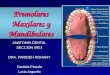 Presentacion Premolares Maxilares y Mandibulares