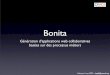 Génération d'applications web avec Bonita