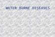 Water borne diseases