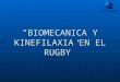Biomecanica y kinefilaxia en el rugby