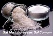 SAUDE - Sal marinho x Sal comum*