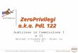 Audizione zero privilegi in Commissione I e II 20111214