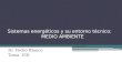 DERECHO DE LA ENERGÍA - TEMA VIII - MEDIO AMBIENTE