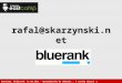 Rafał Skarżyński - BlueRank - Wprowadzenie do Adwords... i trochę więcej :)