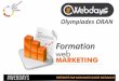 Formation webmarketing webdays oran 2013