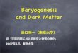 Baryogenesis and Dark Matter