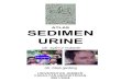 62252592 Atlas Sedimen Urine