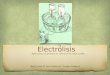 Presentacion Electrolisis (1)