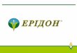 Організація логістики пестицидів та насіння провідного національного дистриб’ютора ПП «Ерідон»
